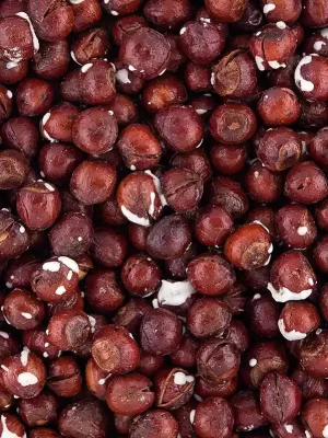 فندق-شور-با-پوست