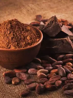 پودر-کاکائو