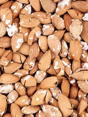 بادام-منقا-بوداده