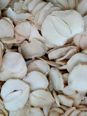 پودر موسیر