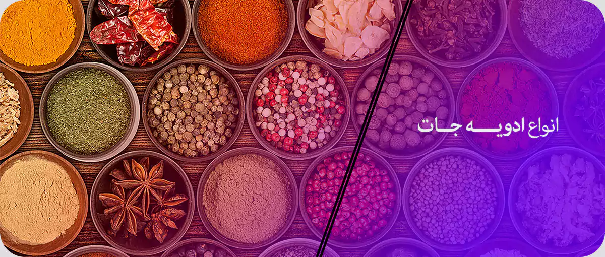 انواع ادویه جات انواع ادویه جات