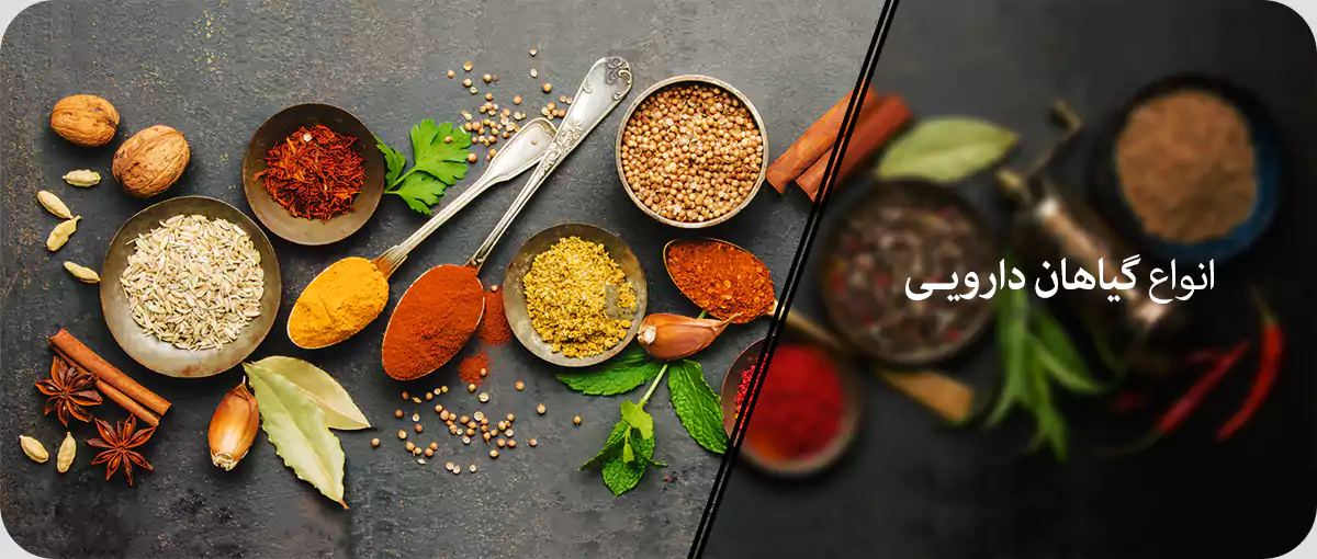 انواع گیاهان دارویی انواع گیاهان دارویی