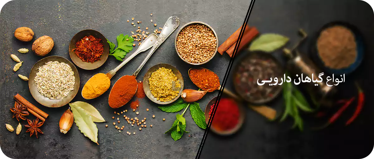 انواع گیاهان دارویی 2 انواع گیاهان دارویی