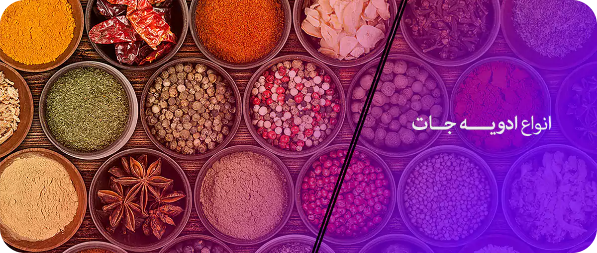 انواع ادویه جات 2 انواع ادویه جات